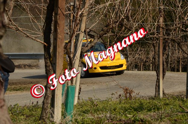 DSC_7047.jpg